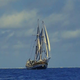 Image for article titled Read this: How the pandemic has stranded an experimental music act on a boat in the Pacific Ocean